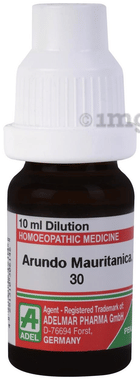 ADEL Arundo Mauritanica Dilution 30 ADEL Arundo Mauritanica Dilution 30