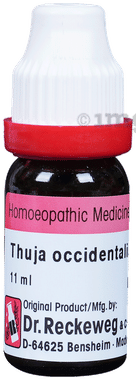 Dr. Reckeweg Thuja Occ Dilution 30 CH Dr. Reckeweg Thuja Occ Dilution 30 CH