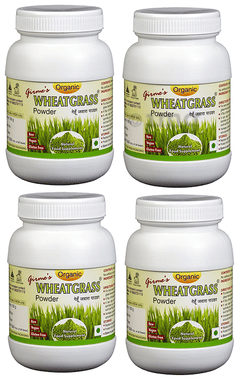 Pommade Homéopathique Wheezal Skookum-Chuk Aux Herbes - Tube De 25g, Livraison Offerte