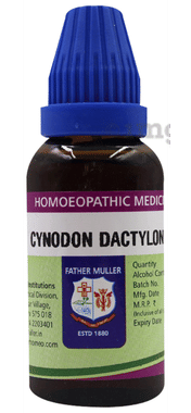 Father Muller Cynodon Dactylon Drop Q