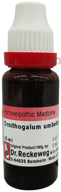 Dr. Reckeweg Ornithogalum Mother Tincture Q
