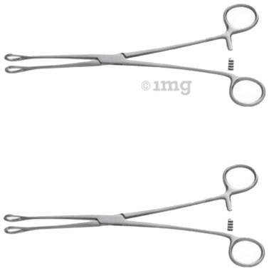 Agarwals Sponge Holding Forcep (8'' & 10'') Agarwals Sponge Holding Forcep (8'' & 10'')