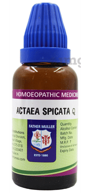 Father Muller Actaea Spicata Drop Q Father Muller Actaea Spicata Drop Q