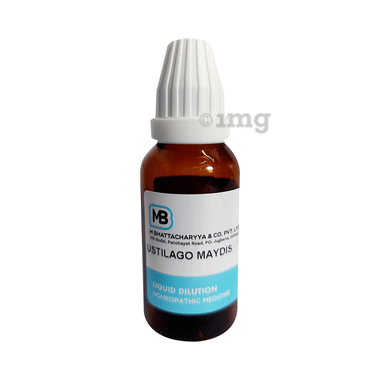 MB Dilution Ustilago Maydis 30 MB Dilution Ustilago Maydis 30