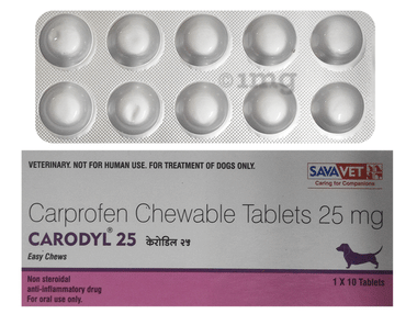 Carodyl 25mg Easy Chews