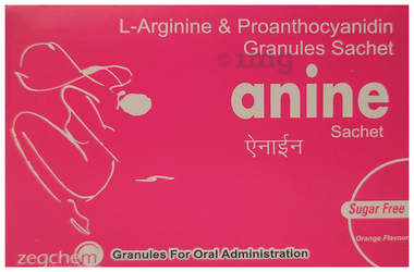 Anine Sachet Orange Sugar Free