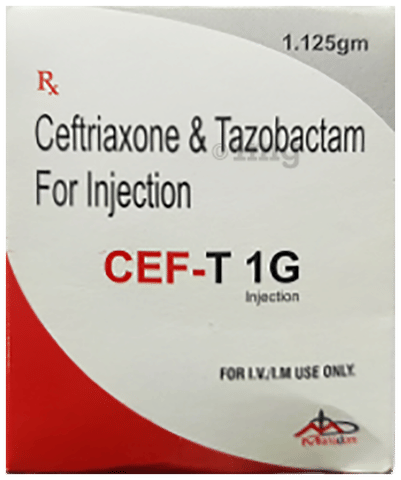 Cef-T 1gm Injection image Cef-T 1gm Injection image