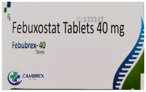 Febubrex 40 Tablet image Febubrex 40 Tablet image