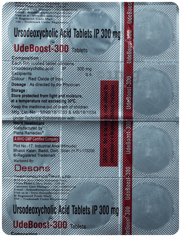 Udeboost 300 Tablet image