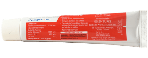 Powergesic 2X Gel image