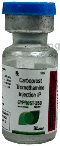 Gyprost 250 Injection image Gyprost 250 Injection image