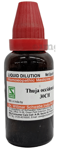 Dr Willmar Schwabe India Thuja Occidentalis Dilution 30 CH: Buy bottle of  30.0 ml Dilution at best price in India | 1mg