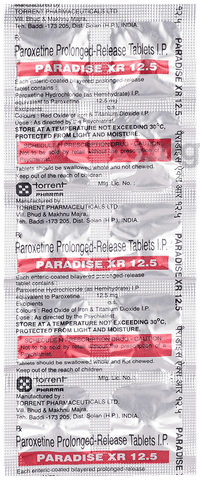 Paradise XR 12.5 Tablet image
