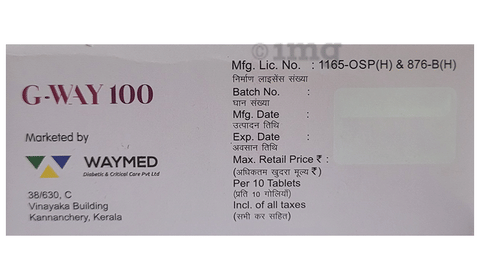 G-Way 100 Tablet image