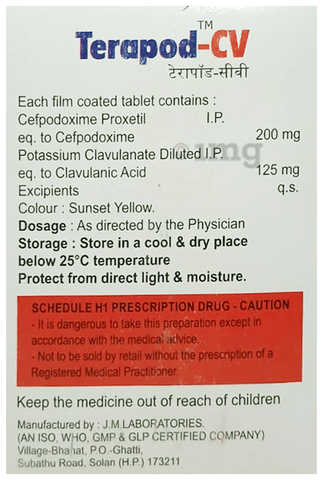 Terapod-CV Tablet image