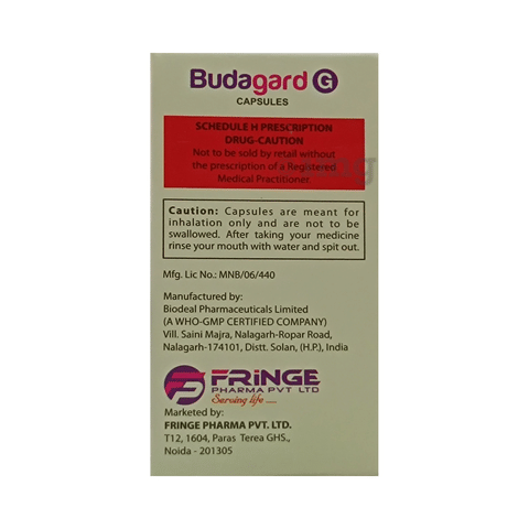 Budagard G Capsule image Budagard G Capsule image