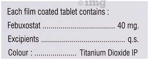 X-Fab 40 Tablet image