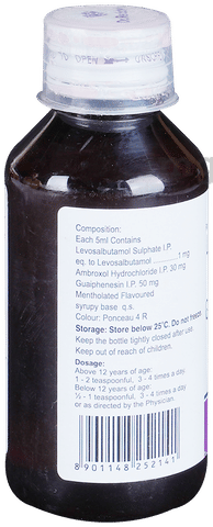 Viscodyne-LS Plus Expectorant image Viscodyne-LS Plus Expectorant image