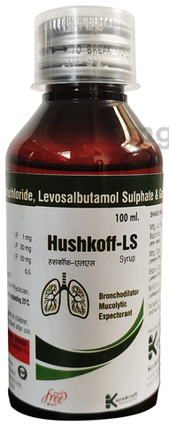 Hushkoff-LS Syrup Sugar Free