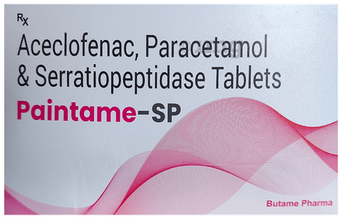 Paintame-SP Tablet image