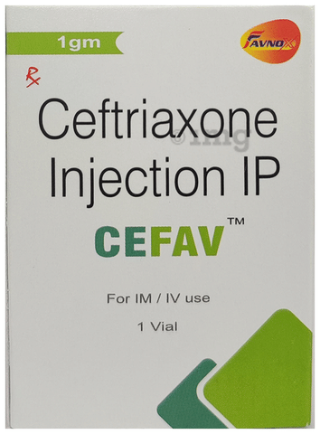 Cefav 1000mg Injection image
