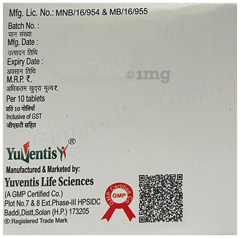 Gimin-M2 Tablet PR image