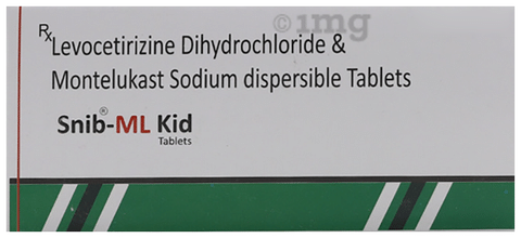 Snib-ML Kid Tablet DT