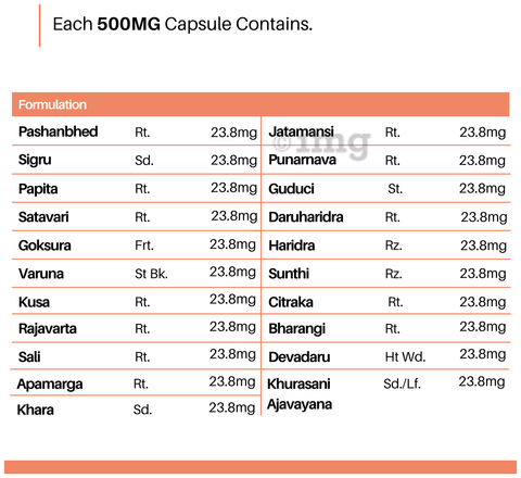 Cureayu CreatiCare Capsules | Supports Healthy Creatinine Level & Kidney Detox | 21+ Natural Herbs 10