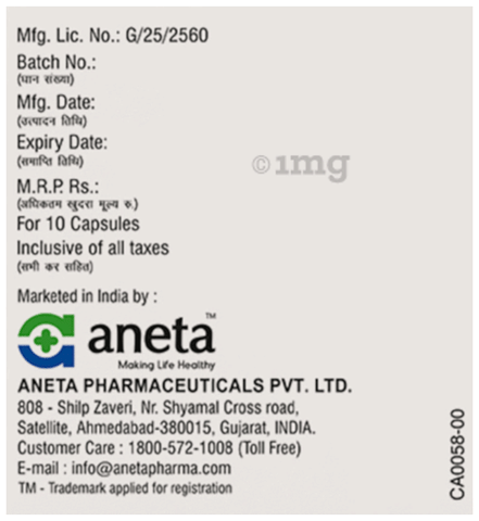 Icneta 100 Capsule image