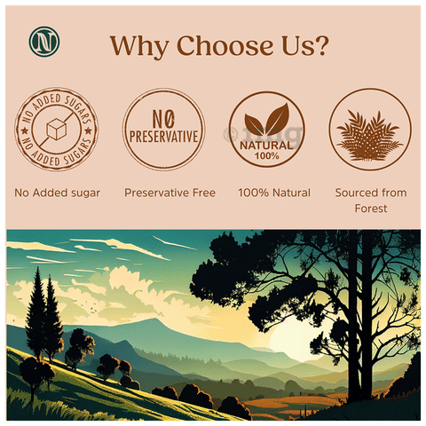 Nutricrate Wild Forest Honey 6