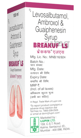 Breakuf LS Syrup image