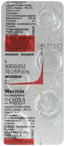 Wormin 100mg Tablet image