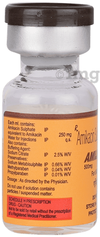 Amiject 500mg Injection image