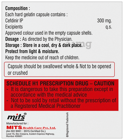 Zefnir 300 Capsule image Zefnir 300 Capsule image