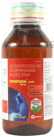 Dropizin Syrup Peppermint 1