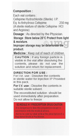 Critpime 250mg Injection image
