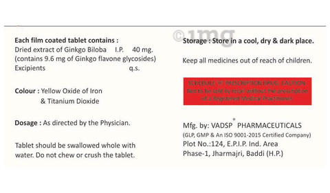 GB-Plus Tablet image