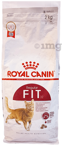 cat wet food feeder Polar Refrigerated Wet Food Cat Feeder