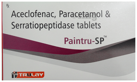 Paintru-SP Tablet image