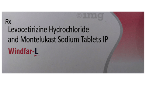 Windfar-L Tablet image