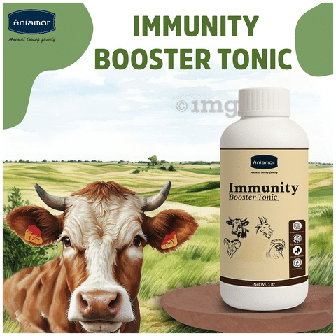 Aniamor Immunity Booster Tonic 6