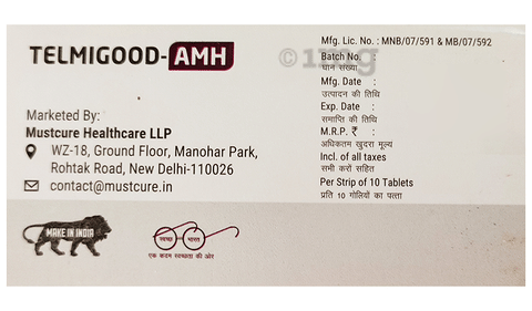 Telmigood-AMH Tablet image