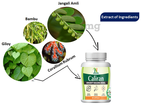 Numinous Caliran Capsule image