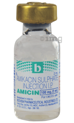 Amicin 100mg Injection image