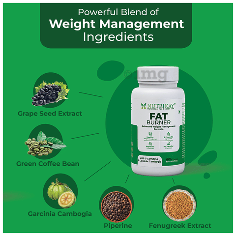 garcinia cambogia vs l carnitine Buy HealthKart HK Vitals Fat Burner With L-Carnitine, Garcinia Cambogia, &  Caffeine Tablets Online