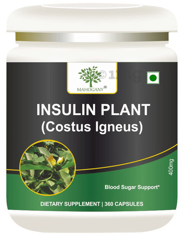 Mahogany Insulin Plant Capsule: Buy jar of 360.0 capsules at best price in  India | 1mg