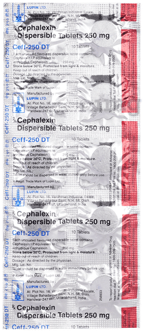 Ceff 250mg Tablet DT image