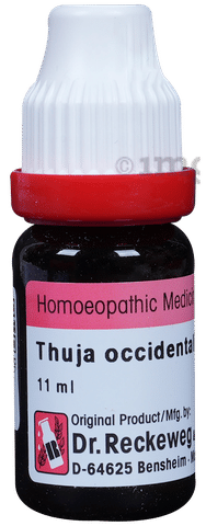 Dr. Reckeweg Thuja Occ Dilution 200 CH