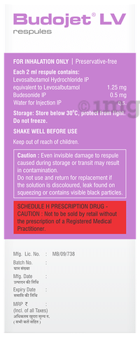 Budojet LV 1.25mg/0.5mg Respules