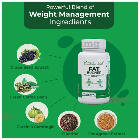 Nutrikay Fat Burner Tablet with L-Carnitine & Garcinia Cambogia (60 Each): Buy combo pack of 2.0 bottles at best price in India